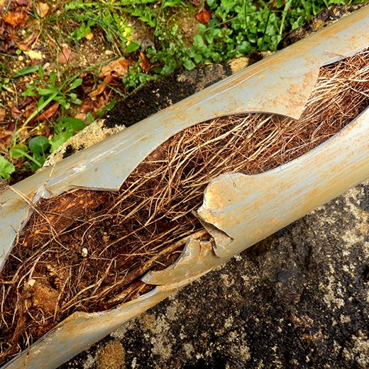 Same Day Drain Sewer & Rooter Pros Across Hooksett